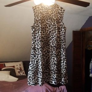 Leopard print skater dress size xl